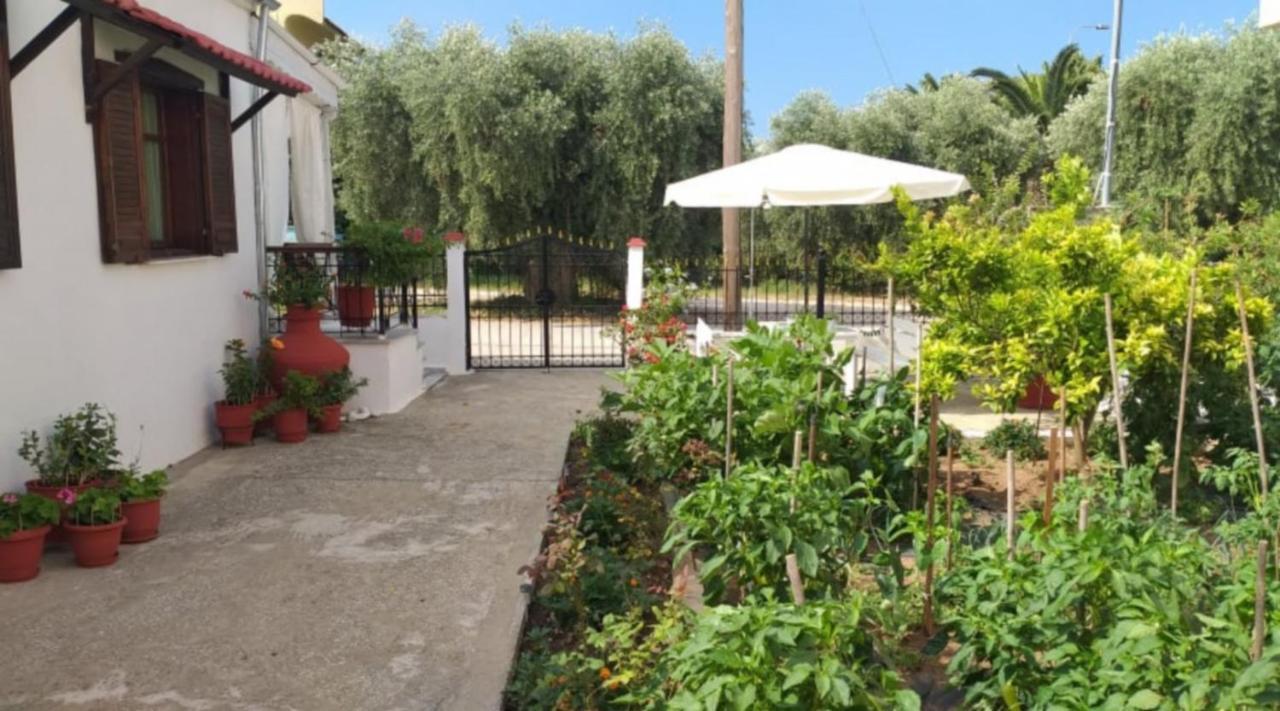 Katerina'S Cozy Home Skala Sotiros Exterior photo